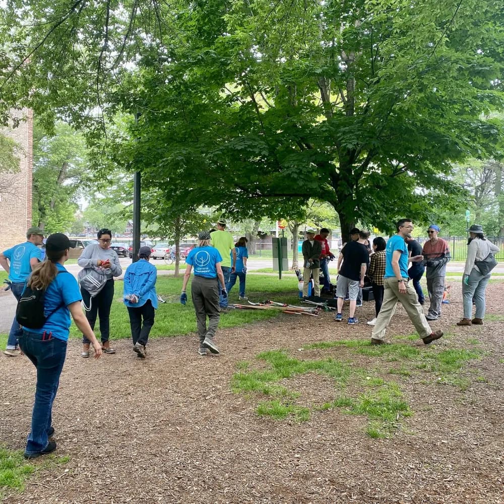 People gathered under trees with gardening tools during a tree-care event at Ronan Park.