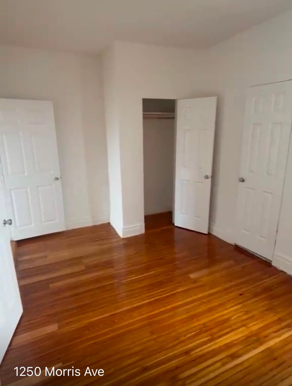 1 Bedroom apartment in Bronx