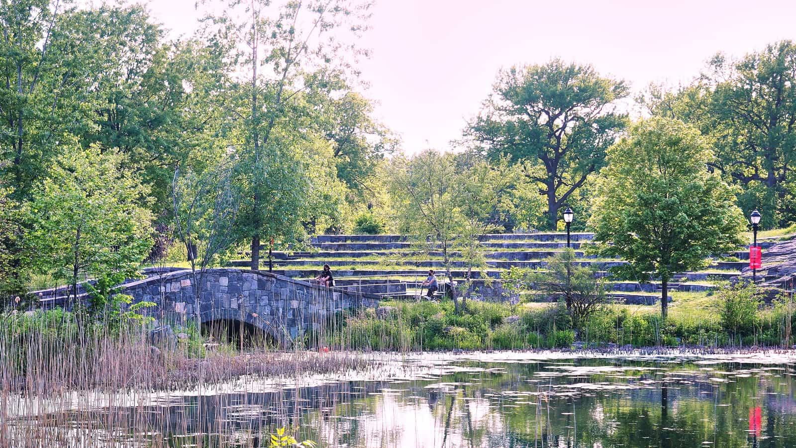 A pond edged with reeds in front of a low stone arch bridge and grassy stone terrace seating among tall green trees, with two small distant figures on the bridge path