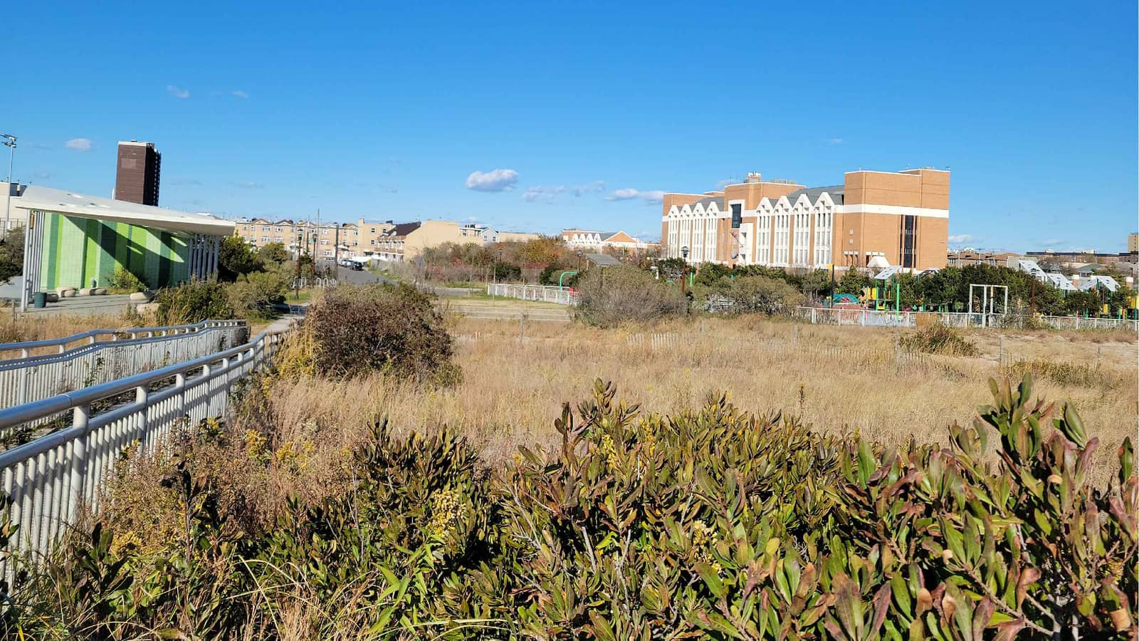 Photograph of low green shrubs and tall dry grass in the foreground, a path with white metal railings at left, a low building with green tiled walls, a playground with a fence at right, a large brick building with white gabled bays and a tall brown tower in the distance, under a blue sky