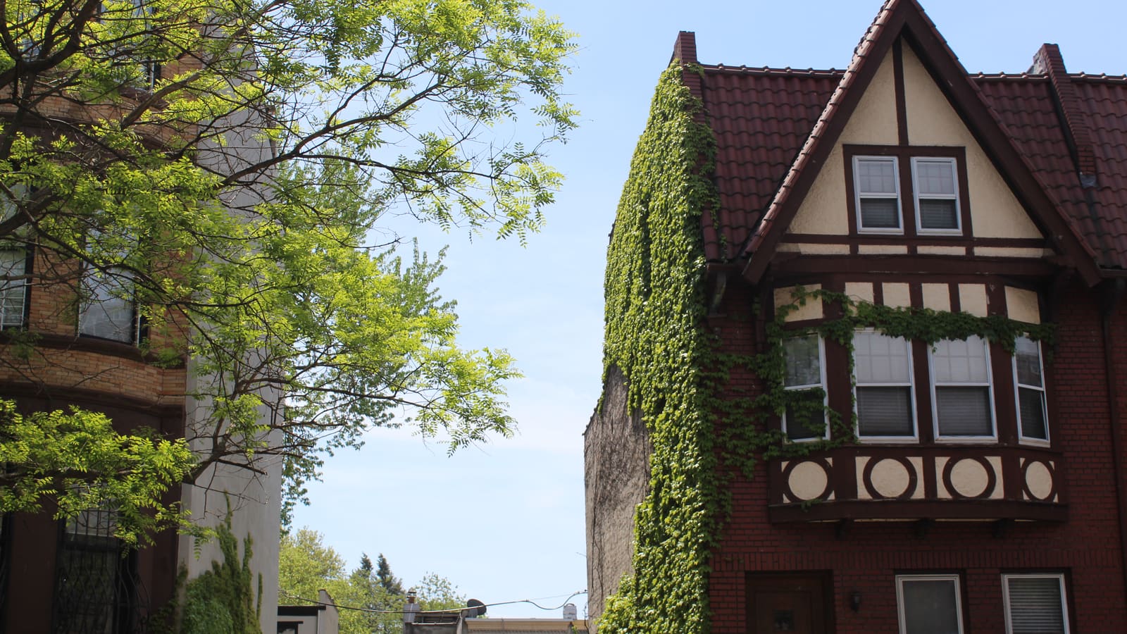 Photograph of a red brick Tudor-style row house with a steep tiled roof, a cream and dark brown half-timbered gable and bay window, ivy climbing its side wall, beside a leafy tree and a tan brick apartment building at left, under a pale blue sky