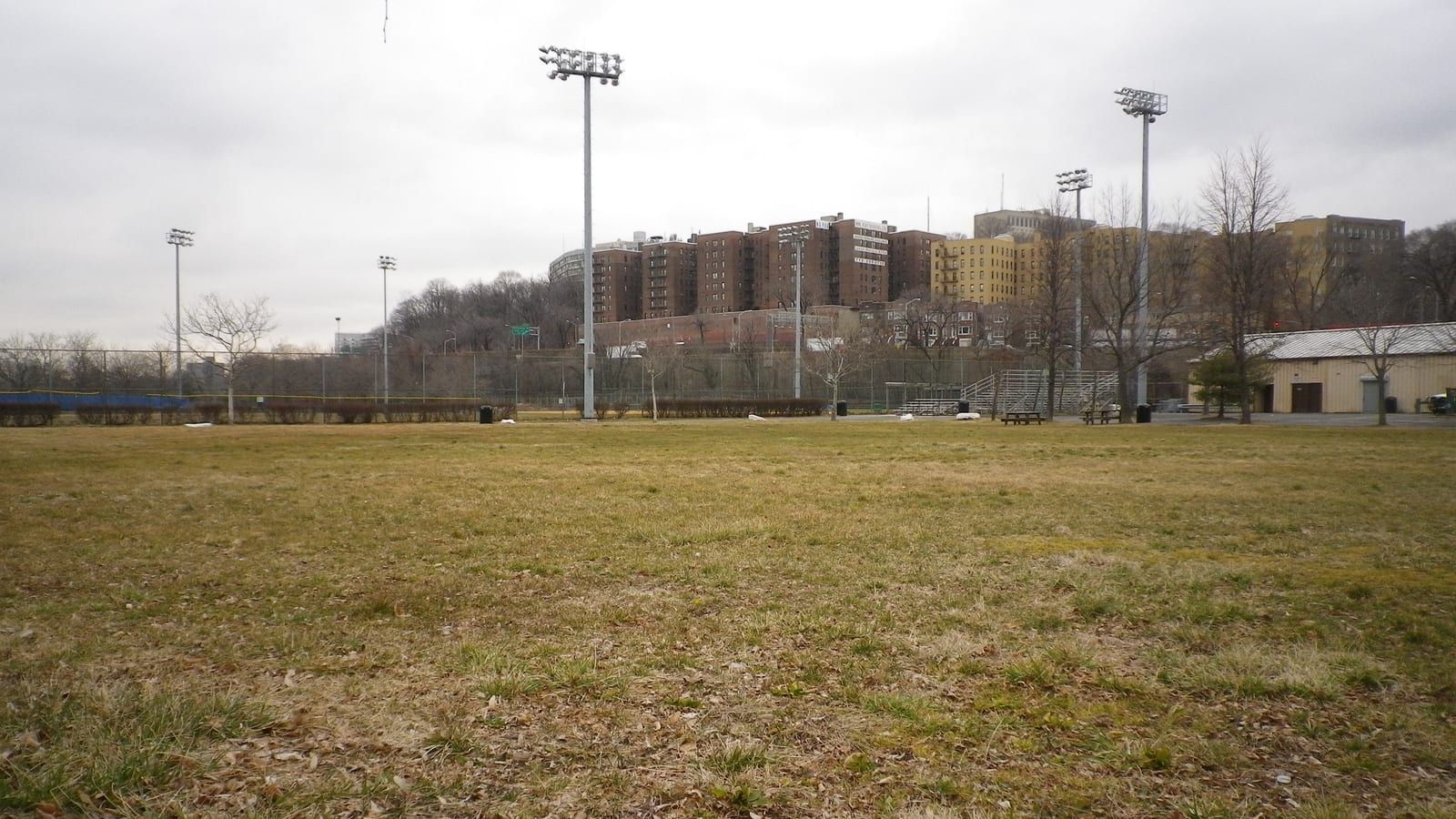 Photograph of a wide grass field in late winter with tall light poles, picnic tables, a low tan building on the right and brick apartment towers on a wooded hill behind under a gray sky