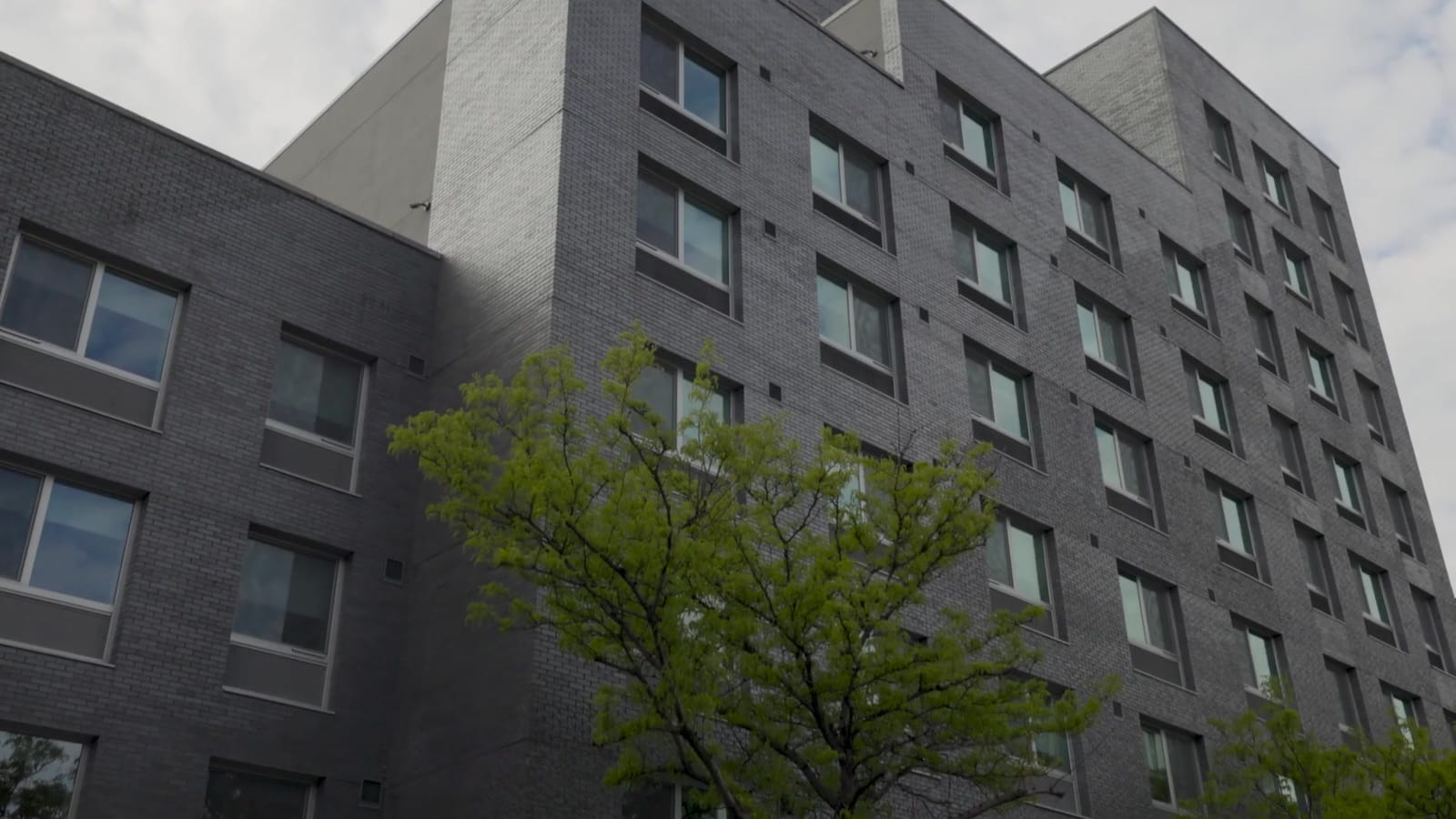 Photograph looking up at a dark grey brick apartment building with rows of two-pane windows, a lower wing at the left, a pale grey side wall above it and a tree in leaf in the foreground under a cloudy sky