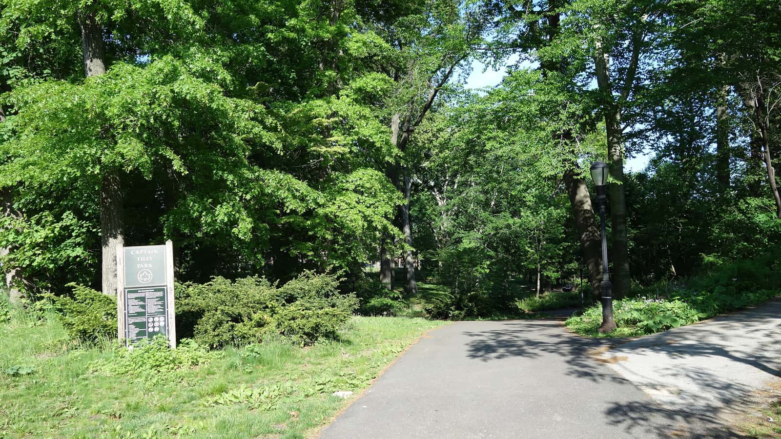 A paved path leading into a wooded park with tall green trees, a lamp post and a green park sign reading Captain Tilly Park