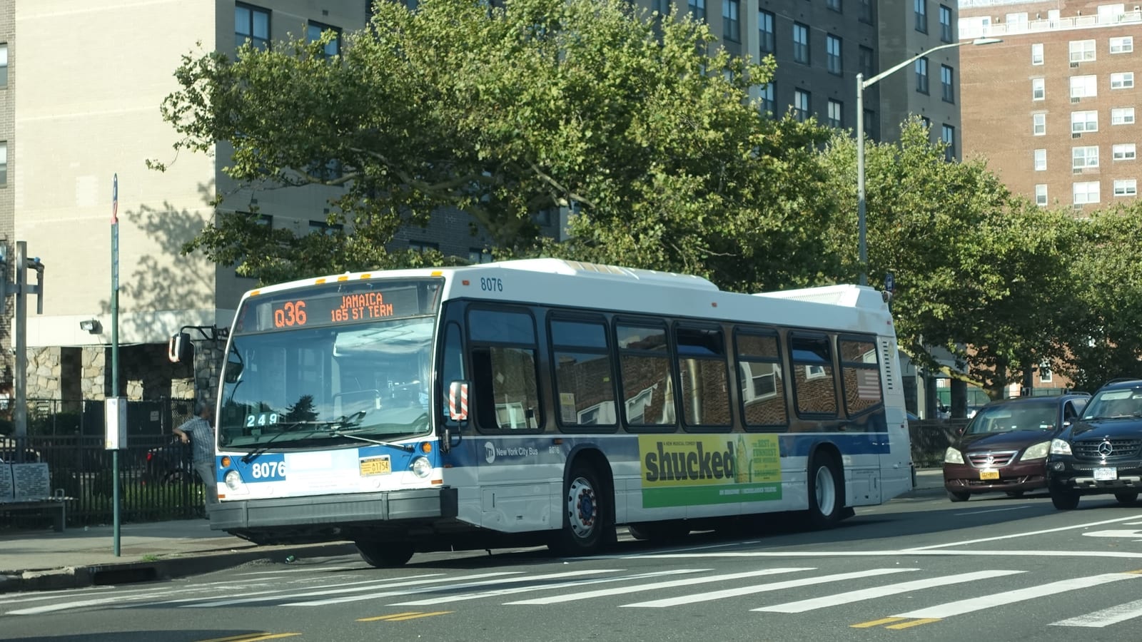 A white and blue city bus with the sign Q36 Jamaica 165 St Term at a crosswalk on a wide avenue, with trees and tall brick apartment buildings behind it and two cars at right