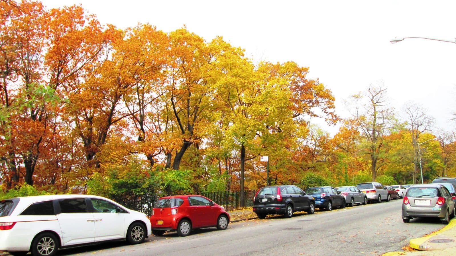 Photograph of a curving street lined with parked cars beside a black iron fence and a strip of park trees in orange and yellow fall leaves, under a white sky, with a yellow-painted curb at right