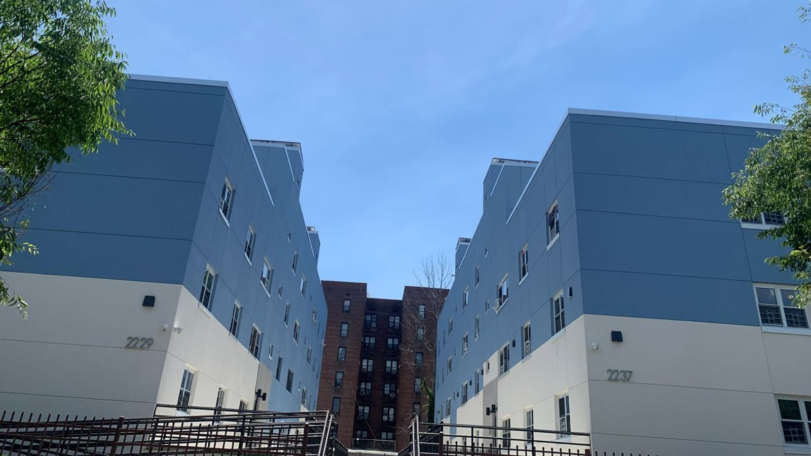 Photograph looking up at two four-story apartment buildings with blue upper walls and cream lower walls, the left one numbered 2229 and the right one 2237, with black railings in front, trees at both edges and a taller brick apartment building between them under a blue sky