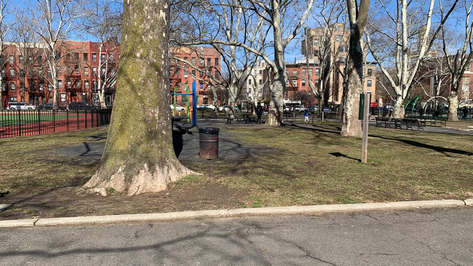 Photograph of a park lawn with a large plane tree trunk in front, bare trees, a blue and green play structure, benches and a fenced red running track at left, with red brick apartment buildings behind under a blue sky
