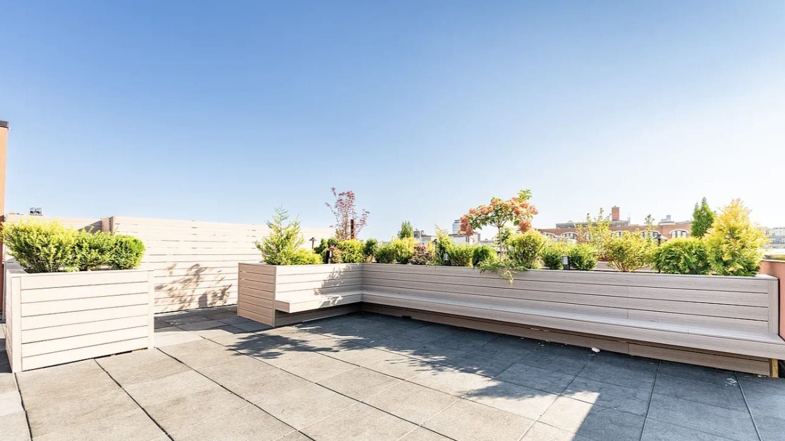 A roof terrace paved in grey tiles under a clear blue sky, with an L-shaped built-in bench, tall planter boxes of evergreen shrubs and small trees, and a pale slatted privacy screen at the back