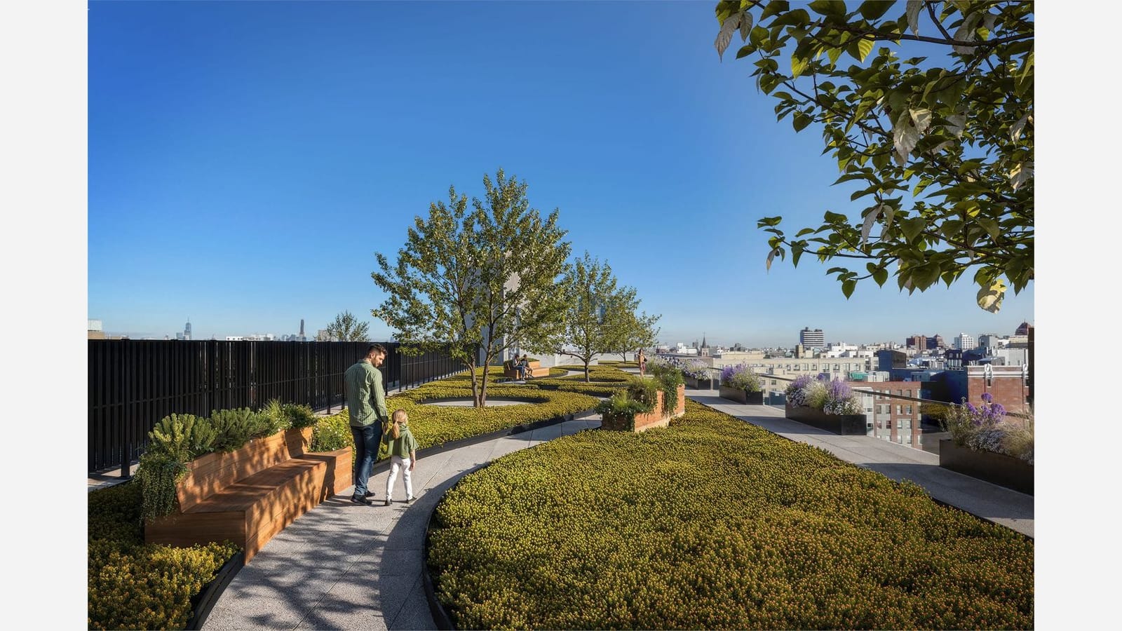 Rendering of a planted rooftop terrace with a curving path, low grasses, wooden planter benches, small trees and a dark railing, with an adult and a child walking and low-rise rooftops and distant towers beyond under a blue sky