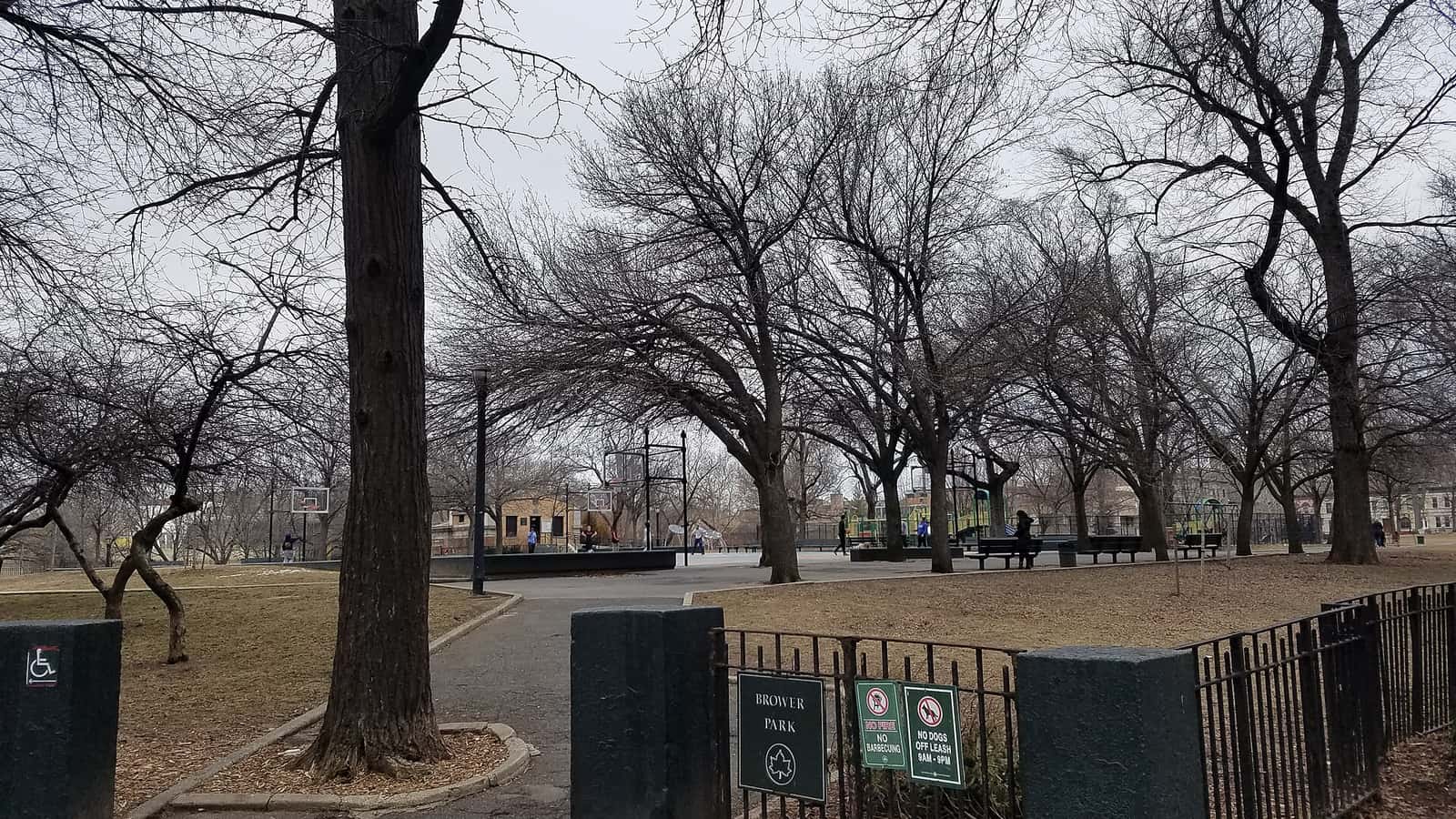Photograph of a park entrance on a gray winter day, with a black iron fence and a green sign reading Brower Park, bare trees, a paved path, basketball hoops and a playground in the distance and a few small distant figures