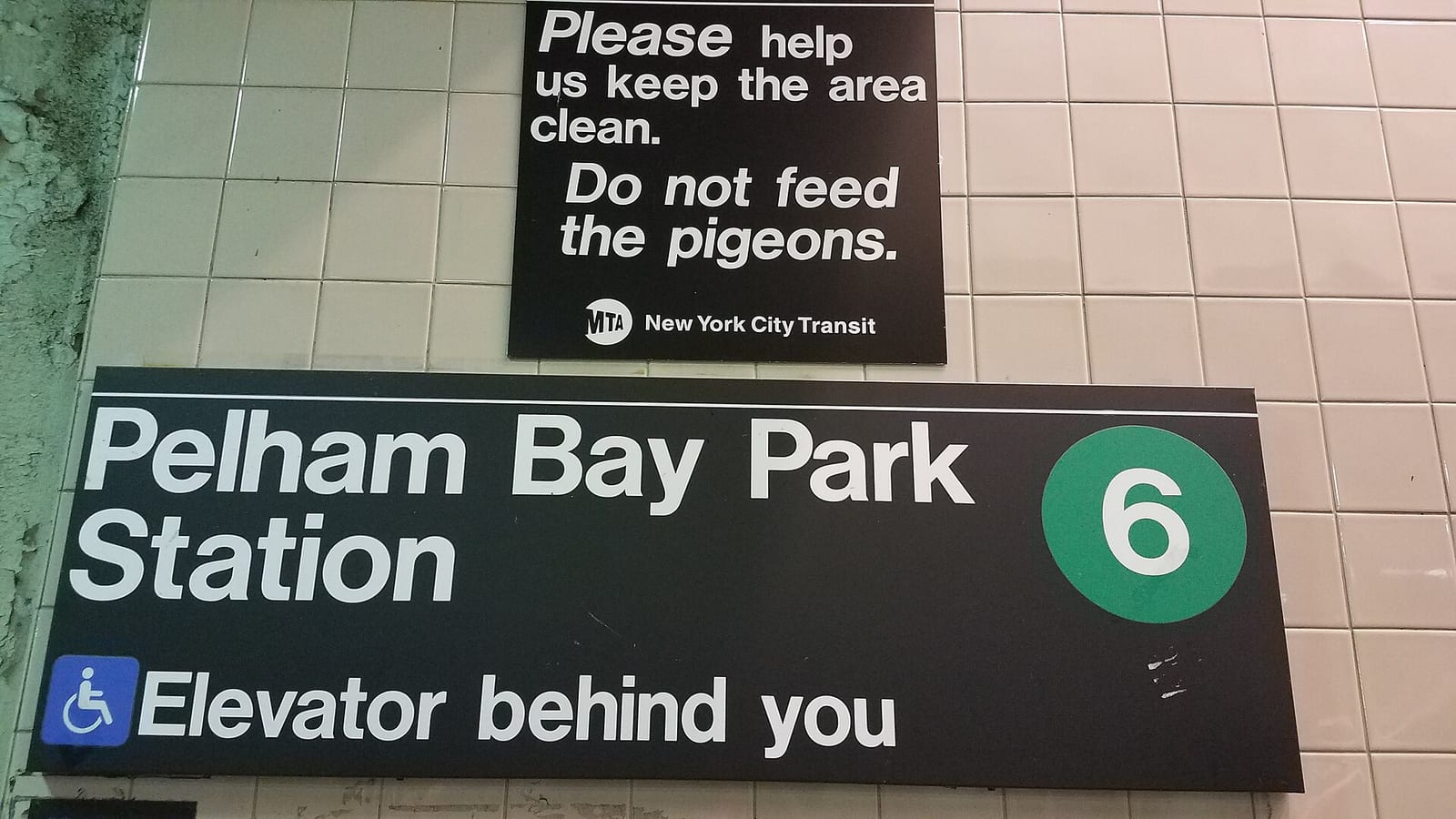 Close photograph of a black station sign on a white tile wall reading Pelham Bay Park Station with a green 6 circle and a wheelchair symbol beside the words Elevator behind you, under a smaller MTA New York City Transit sign asking riders to keep the area clean and not feed the pigeons