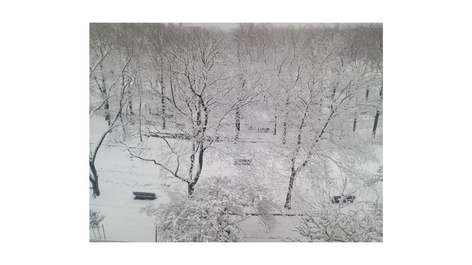A park seen from above after a snowfall, with snow-covered trees, paths and benches and a fence in the background