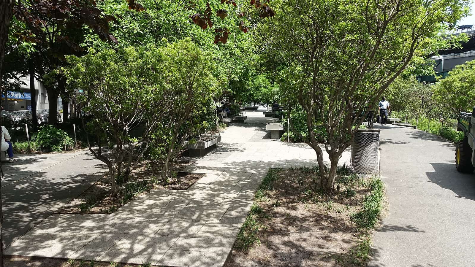 Photograph of a shaded park path with young trees in planting beds, stone benches and a wire trash can, with a person walking far off and an elevated track behind