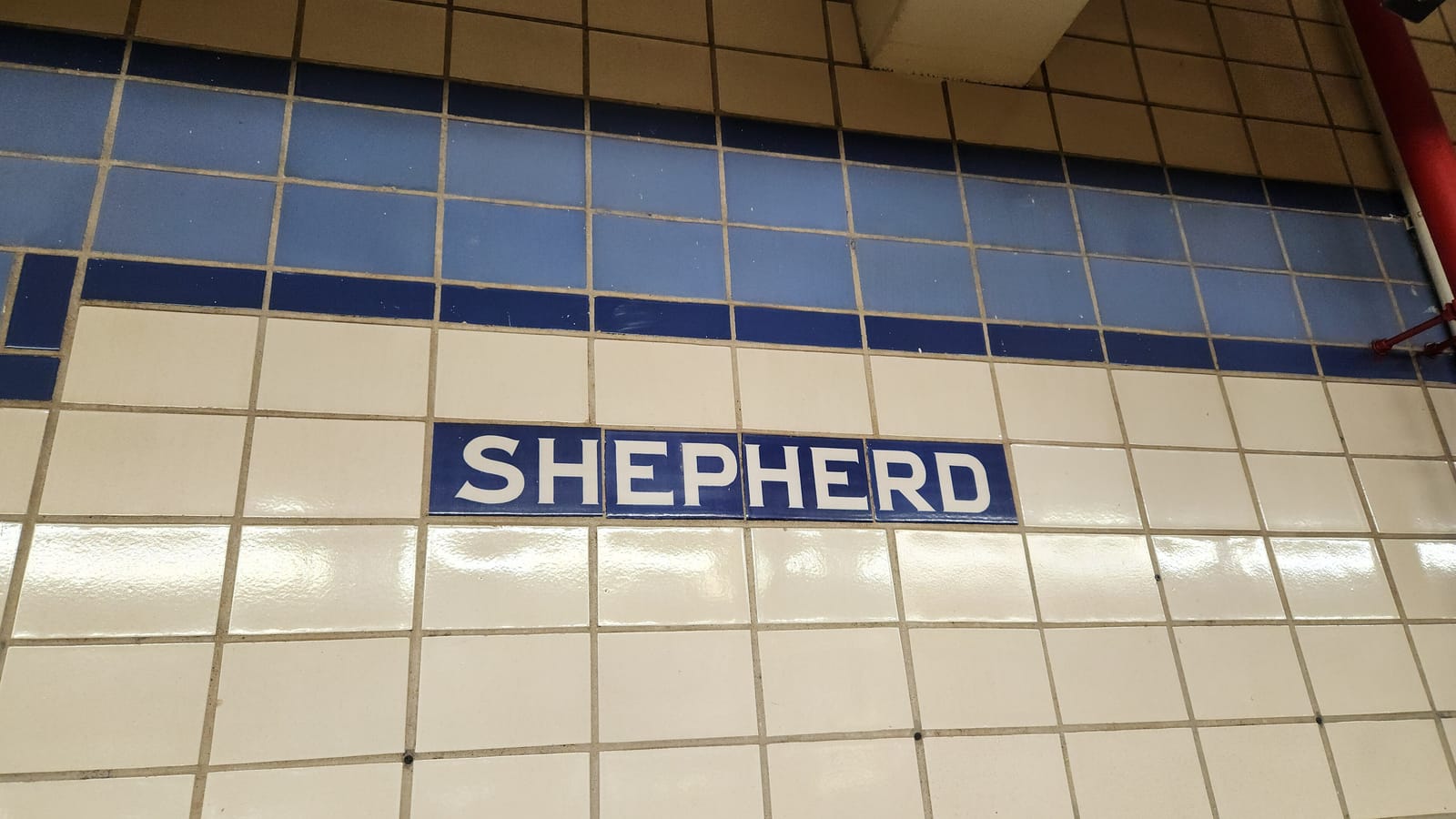 Photograph of white wall tiles under two blue bands, with a dark blue tile panel reading Shepherd in white letters
