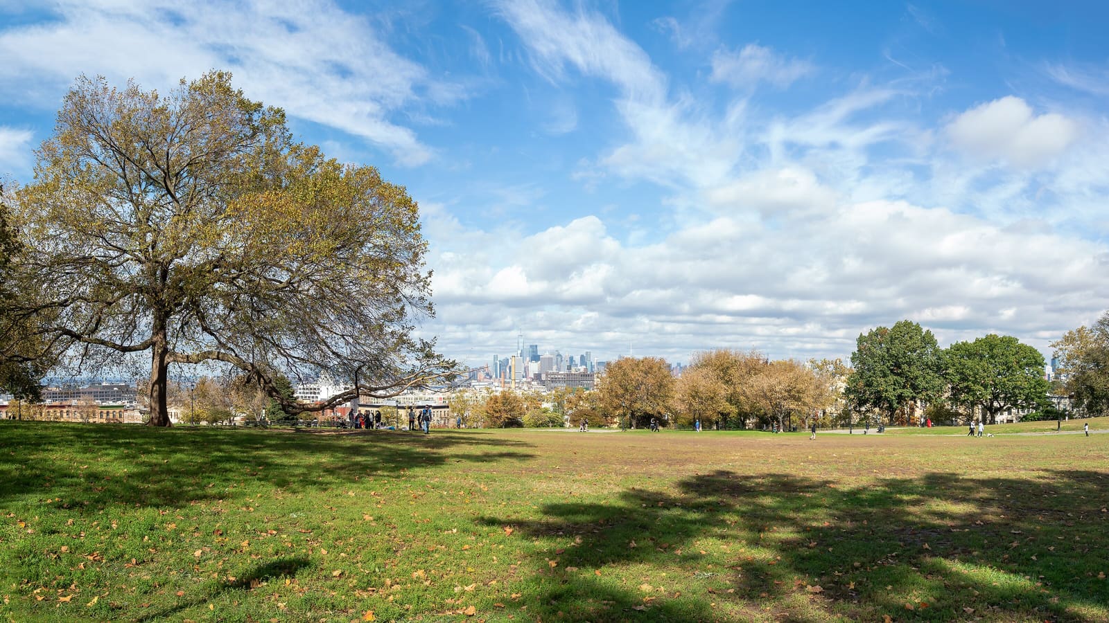 Photograph of a wide lawn on a hill with a large spreading tree at left, leafy trees in autumn colors, small distant figures, and the Manhattan skyline far off under a blue sky with white clouds