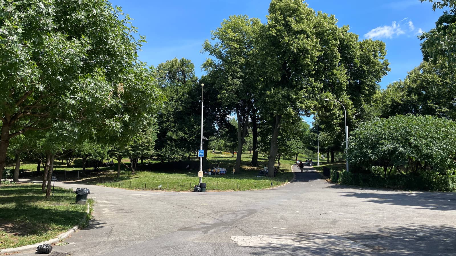A paved path splitting in two around a fenced lawn under tall leafy trees on a sunny day, with lamp posts, a blue call box sign and a few distant people on the lawn and path