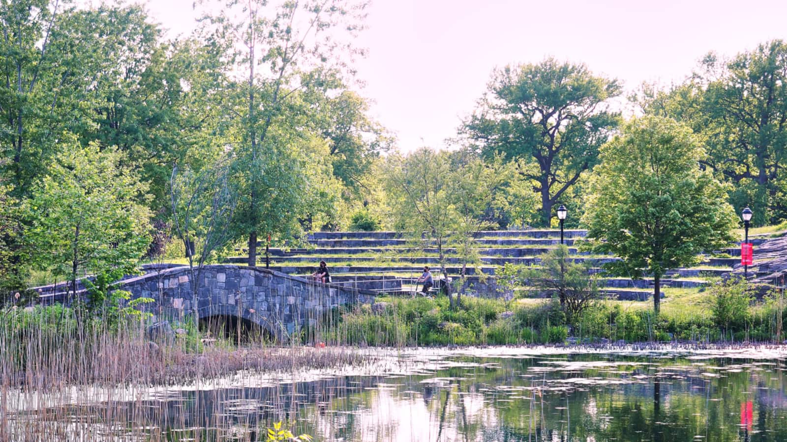 Photograph of a pond with reeds in the foreground, a low arched stone footbridge at left, grassy stone terraces of an amphitheater behind, tall leafy trees and two old-style lamp posts, with two people sitting far away on the terraces
