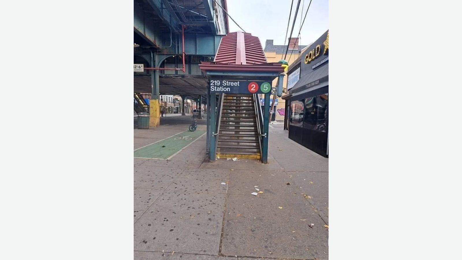 Photograph of a covered subway stairway with a red roof rising from a sidewalk under an elevated train line, with a green sign reading 219 Street Station and red 2 and green 5 route circles, a green bike lane on the street at left and a storefront with a gold sign at right, and a parked bicycle