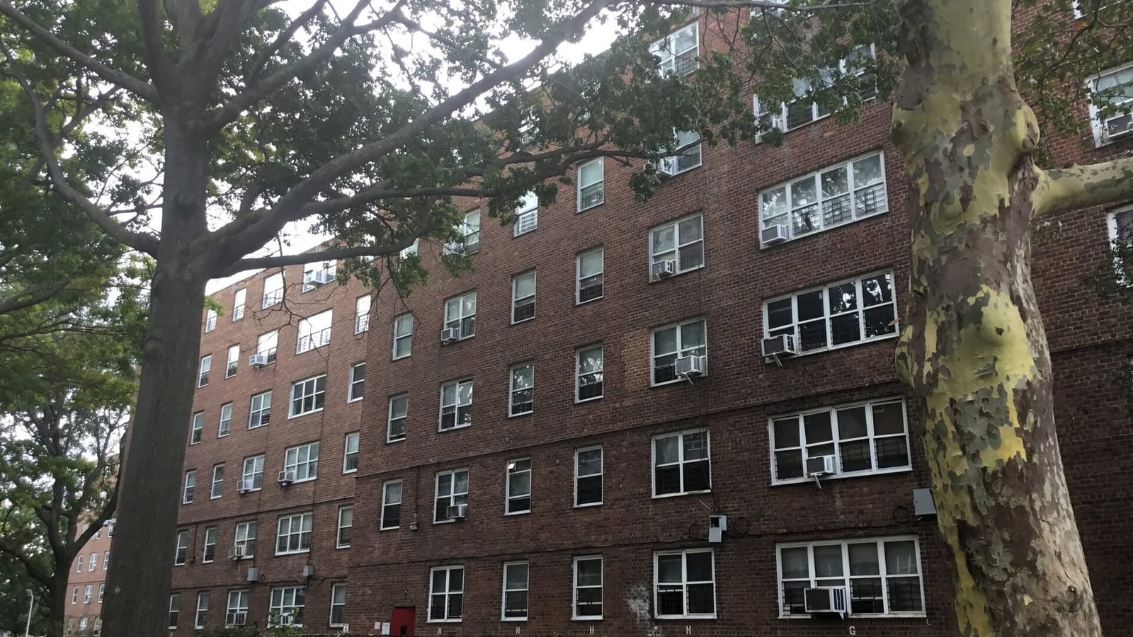 Fachada de apartamentos de ladrillo detrás de un árbol