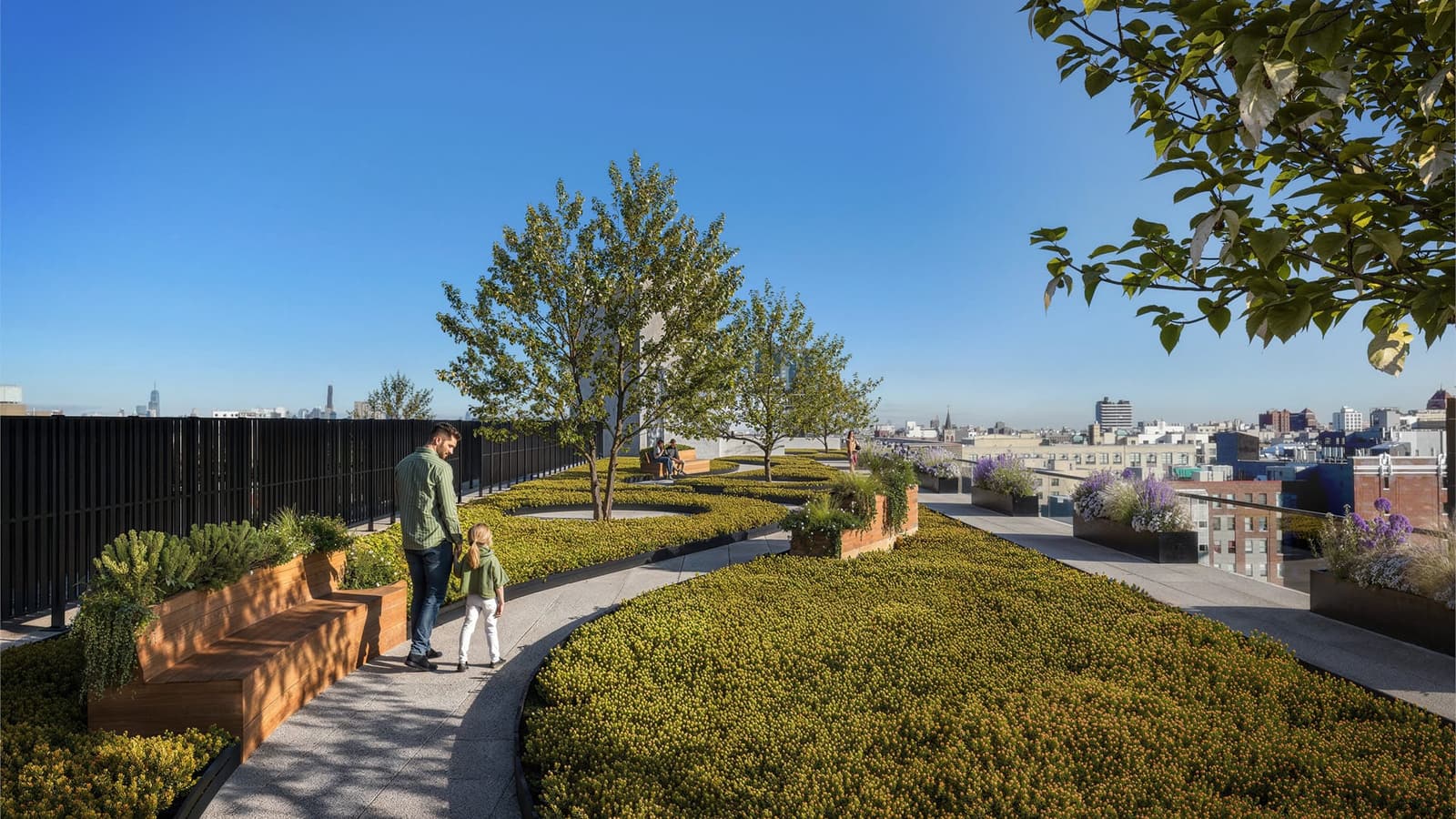 Rendering of a roof terrace with a winding paved path between low planted beds, wooden benches, young trees, a man and a child walking hand in hand, a black metal fence at the left and rooftops and a distant skyline under a blue sky