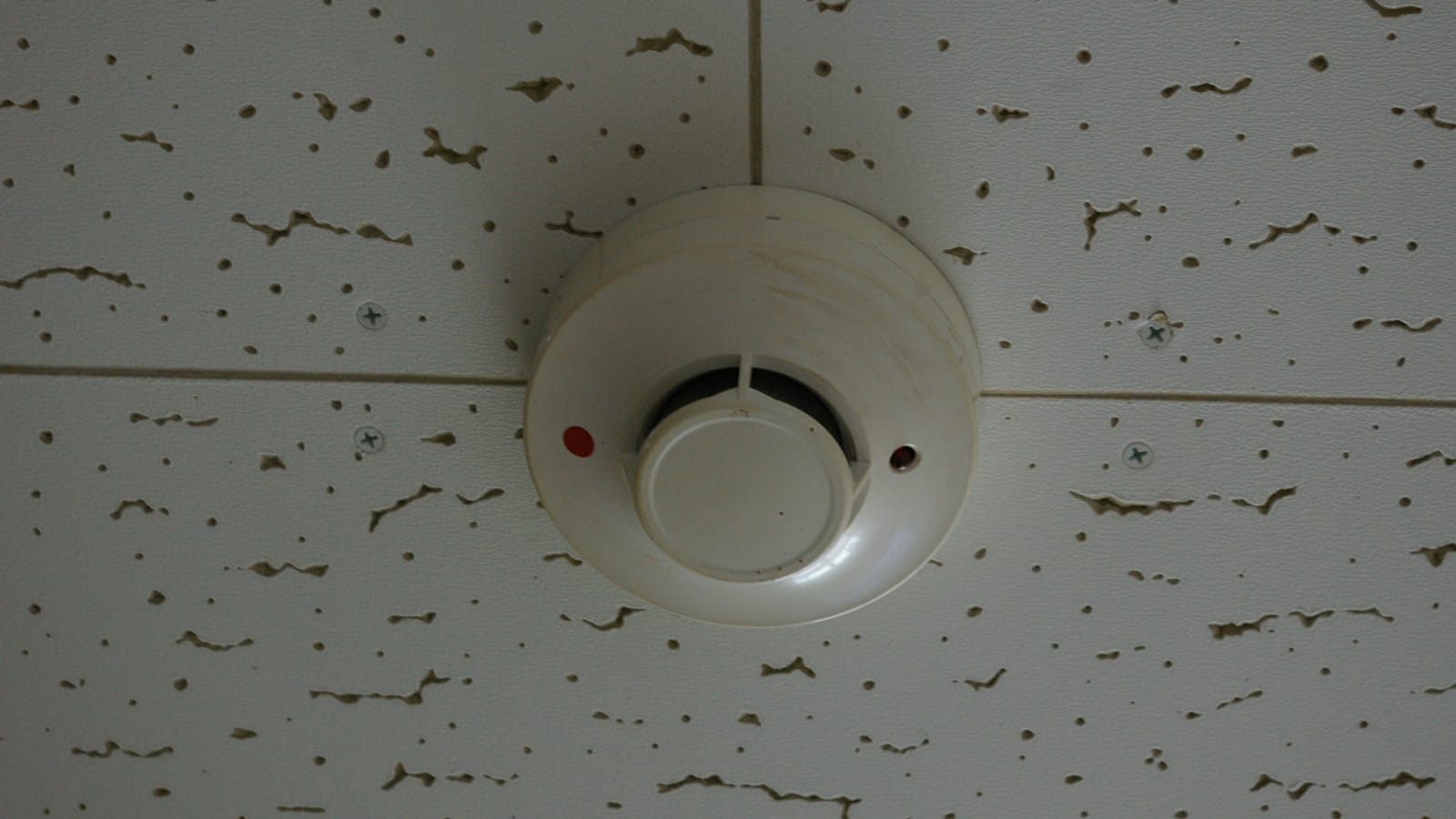 Round smoke detector mounted on a ceiling