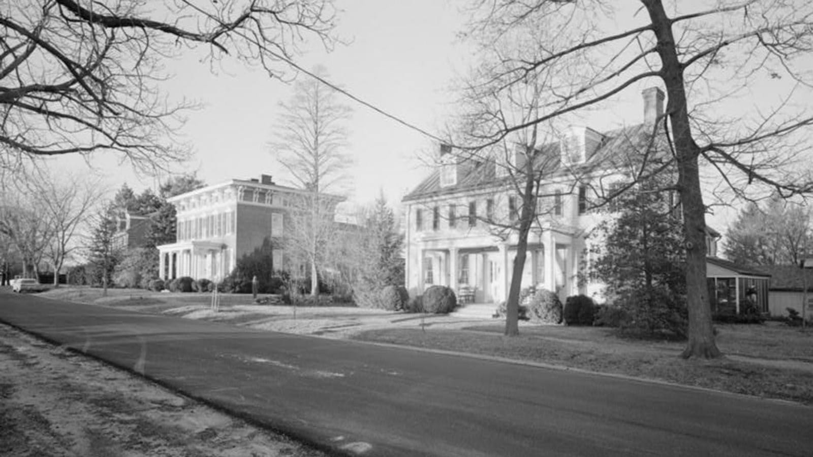 Houses beside a broad street with leafless trees