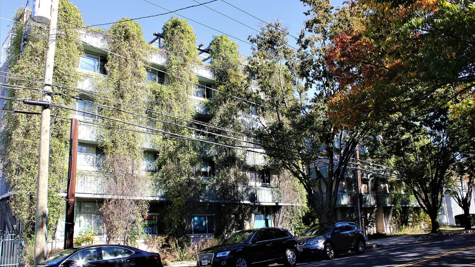 Apartment facade covered with climbing plants