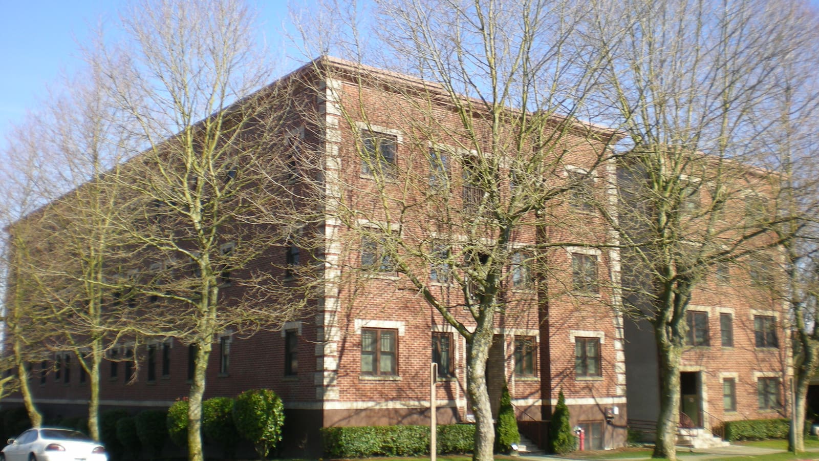 A three-storey red-brick apartment building with stone corner blocks, seen through a row of bare street trees