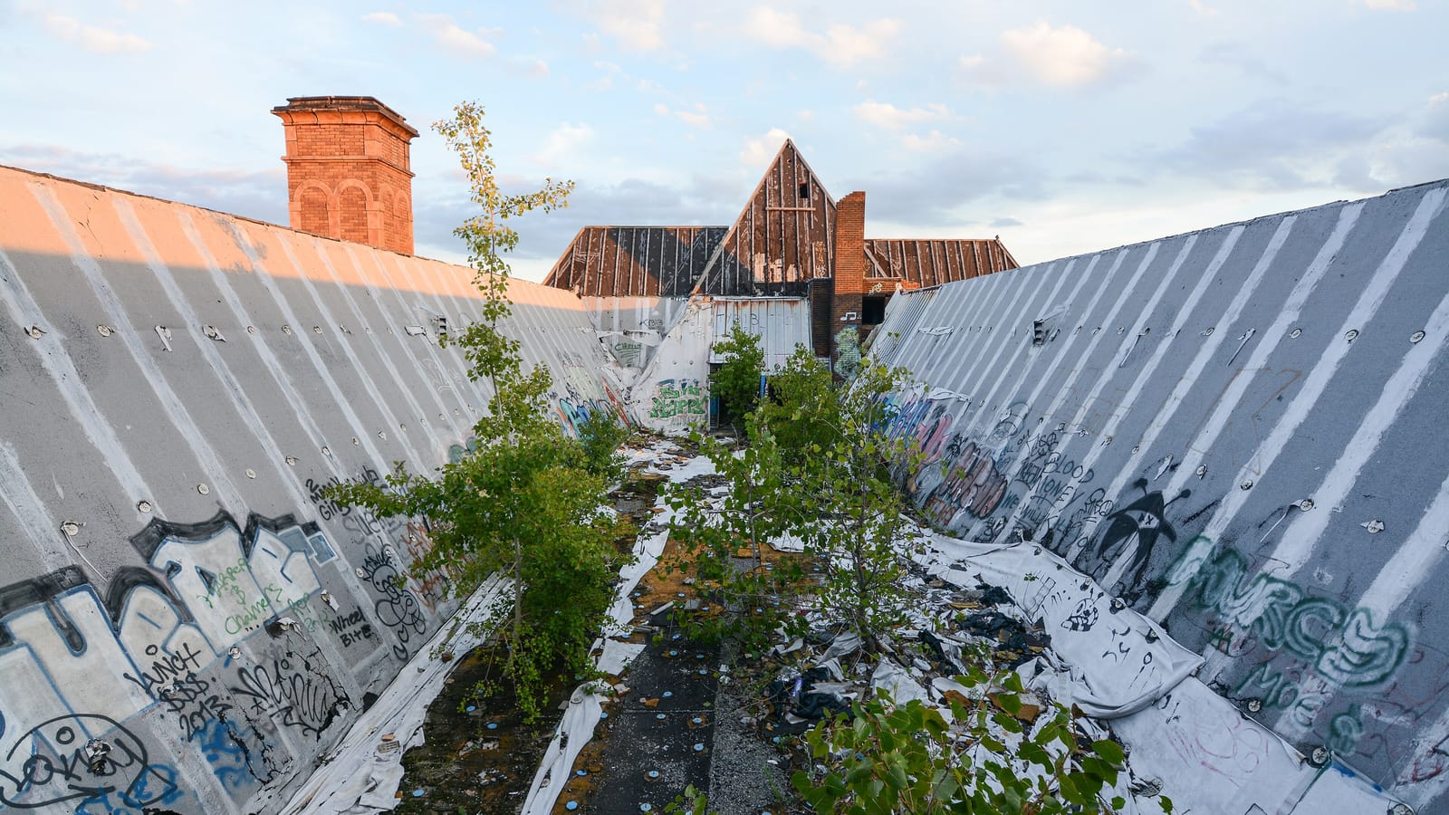 Photograph taken on a damaged rooftop between two sloping metal roof faces covered in graffiti, with small trees growing in the gutter and a brick chimney beyond