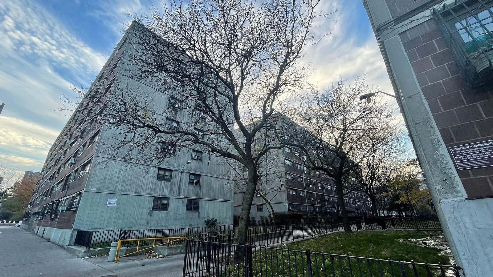 Apartment building behind bare winter trees