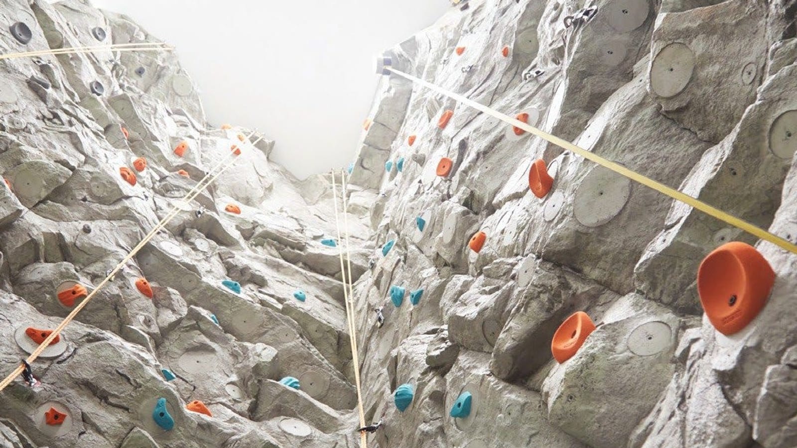 Looking up a tall gray artificial rock climbing wall with orange and blue holds and climbing ropes hanging from the top