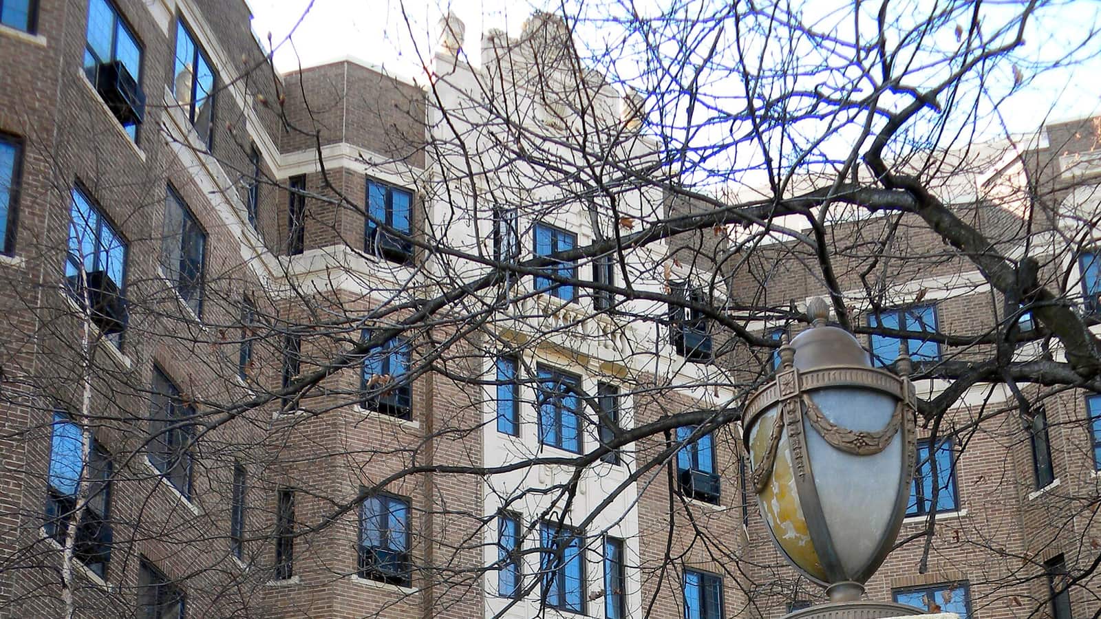 Brick apartment facade behind bare tree branches