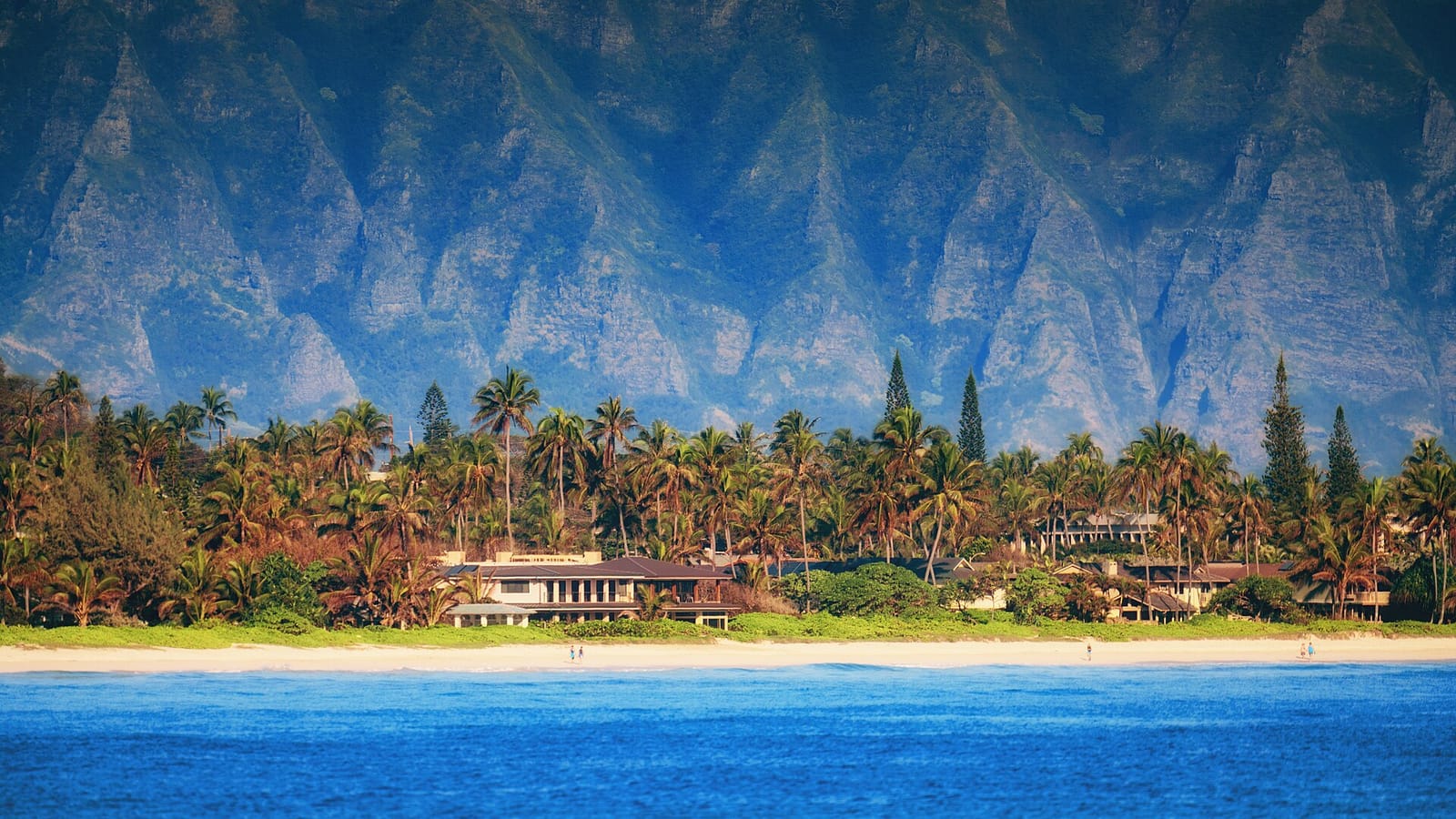 Homes and palm trees along a beach beneath a mountain ridge