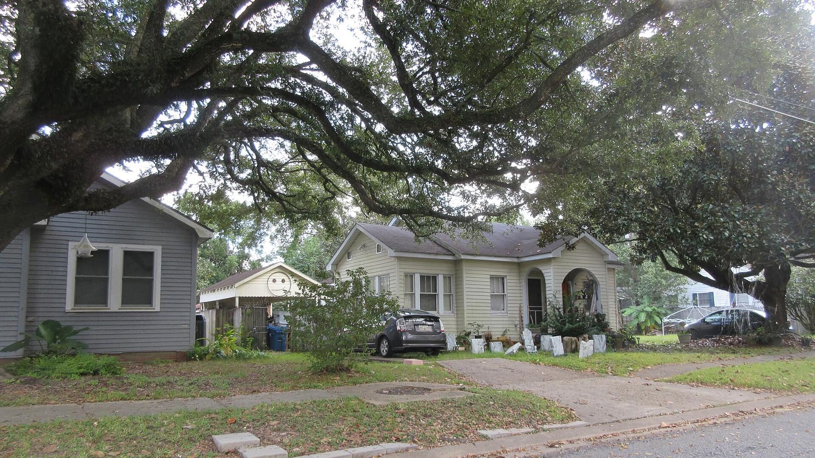 Houses shaded by broad oak branches