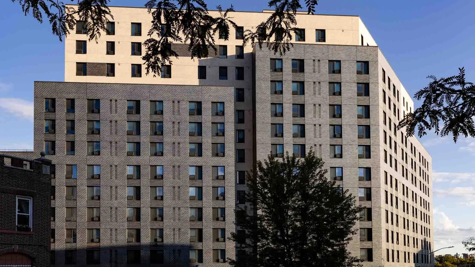 Photograph of a tall apartment building in grey and cream brick with rows of windows, each with a small grille below it, seen in low sunlight with a street tree in front, a low brick building at the left edge and leafy branches across the top of the frame