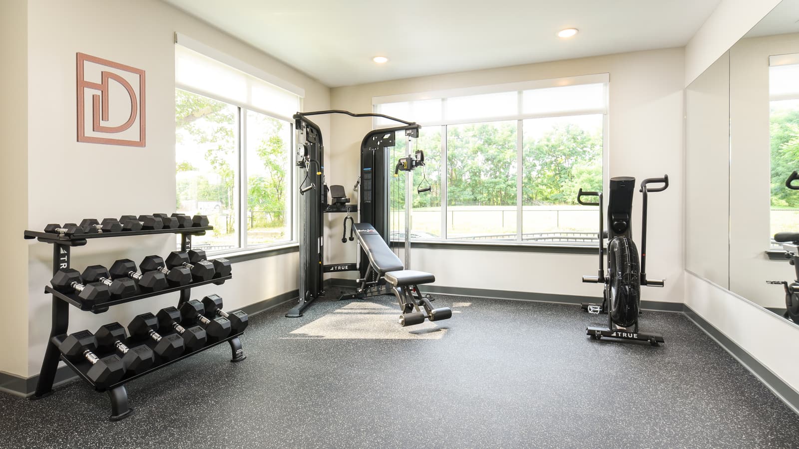 A small gym with a dumbbell rack, a cable machine, a weight bench and an exercise bike in front of large windows