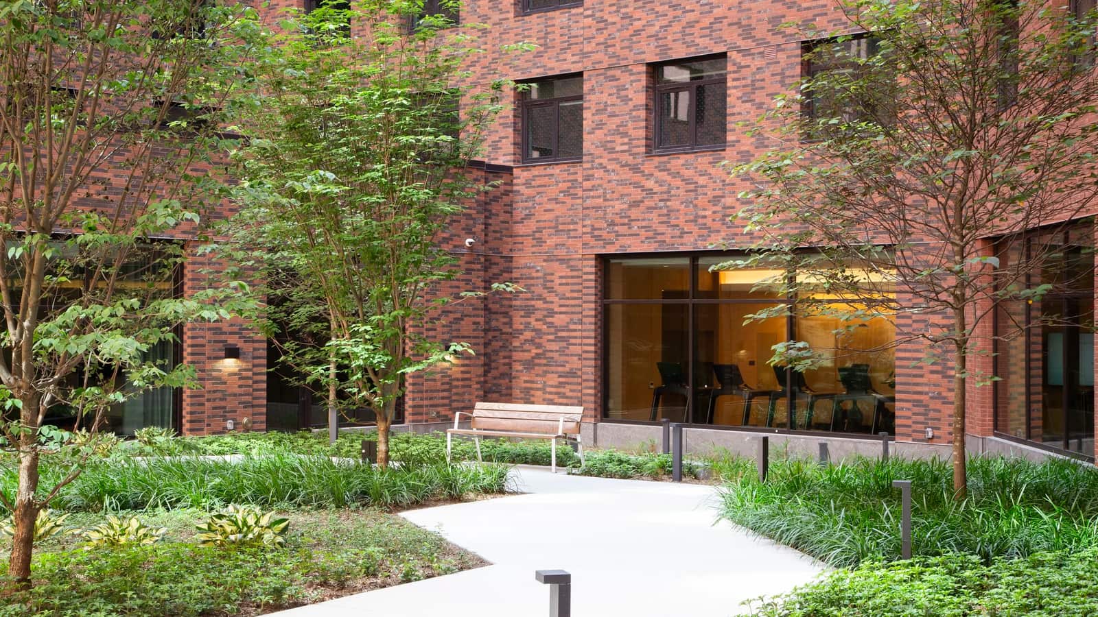 Photograph of a planted courtyard with a pale concrete path, a wooden bench, young trees and low bollard lights in front of a red brick building whose large ground-floor window shows a row of exercise machines