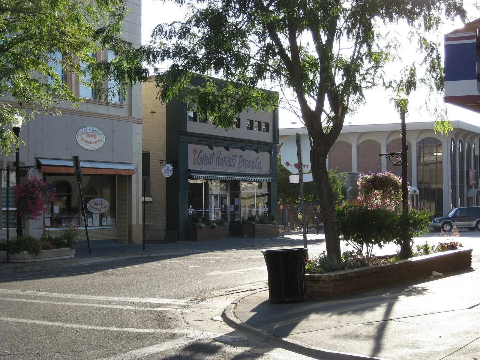 Trees and storefronts on a downtown Idaho Falls street