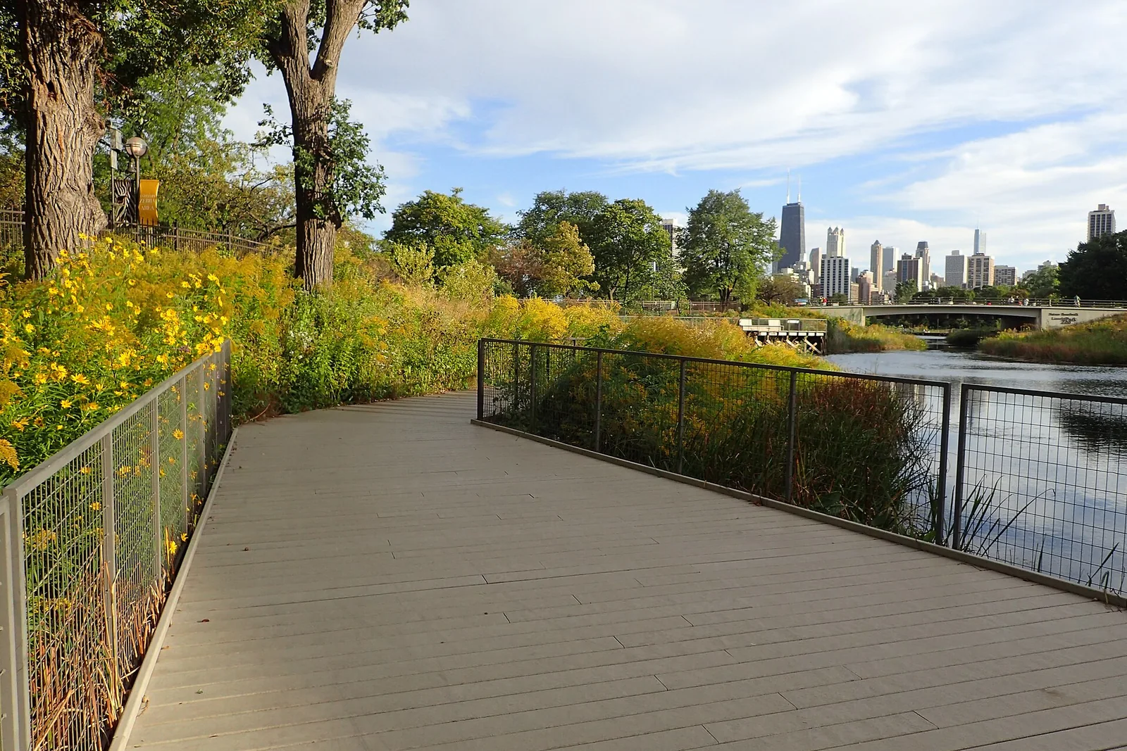 A Lincoln Park boardwalk with trees, water and the Chicago skyline beyond