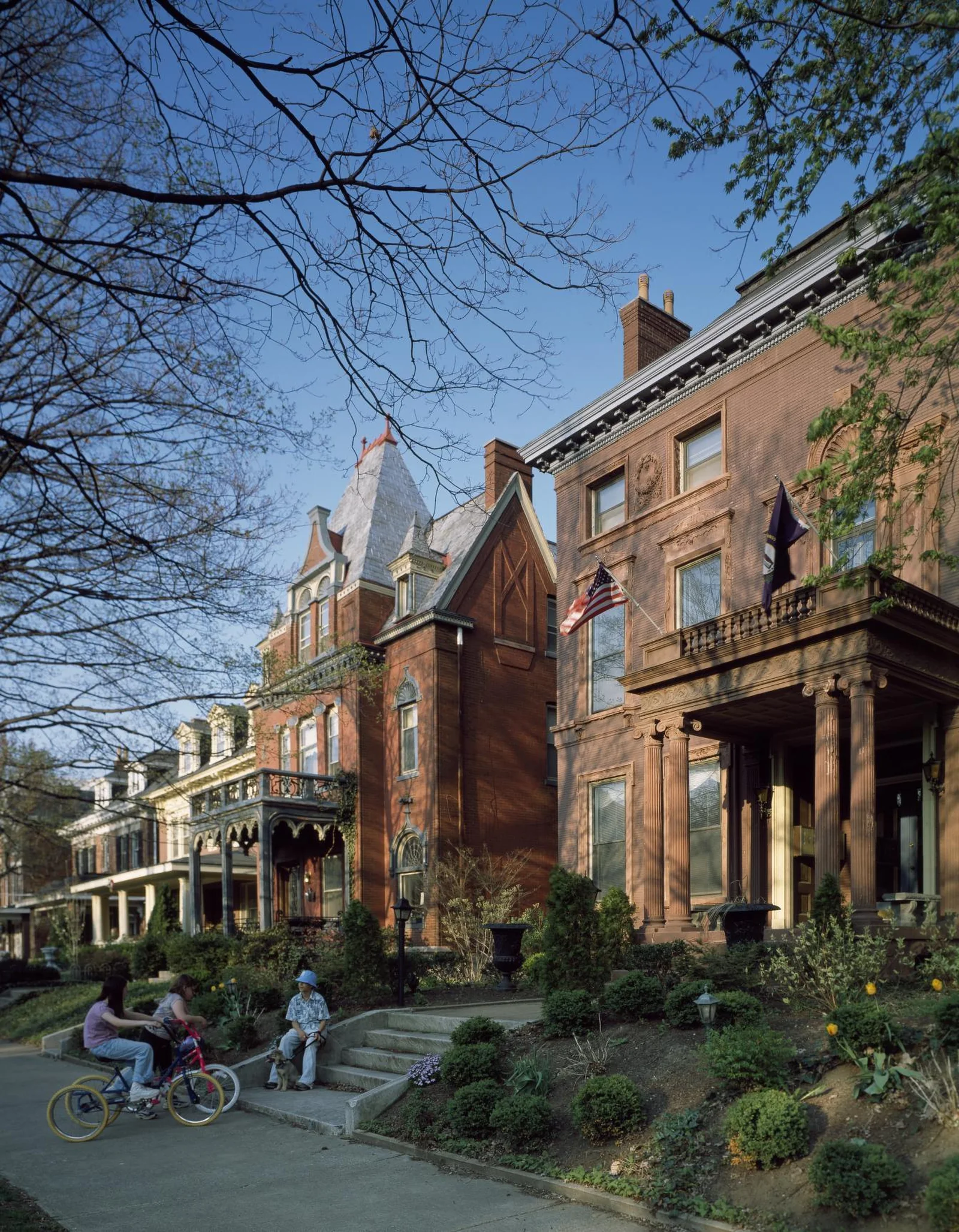 Historic Louisville homes with front steps and mature trees