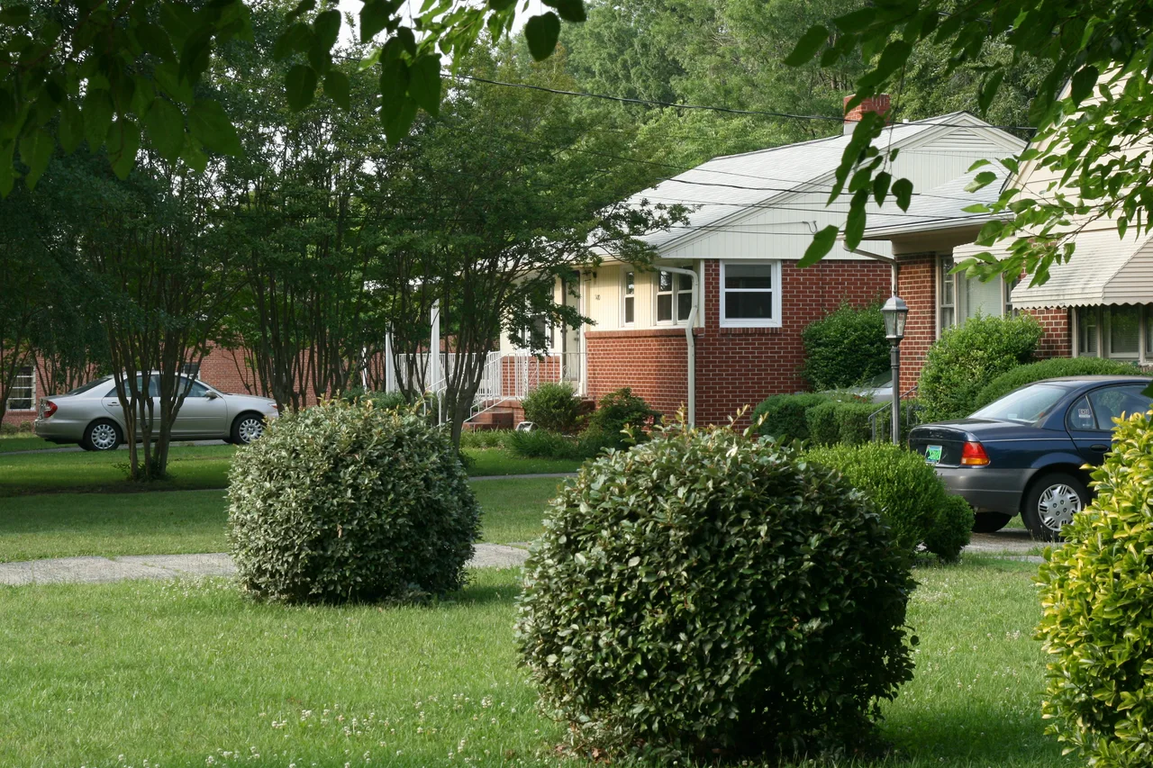 Brick and light-sided houses behind shrubs on Watts Street in Durham’s Trinity Park